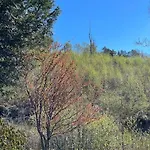 Cozy Ground Floor In Nature, By Driving 300 Metres Of Gravel Road On Of The Hill Apartament *