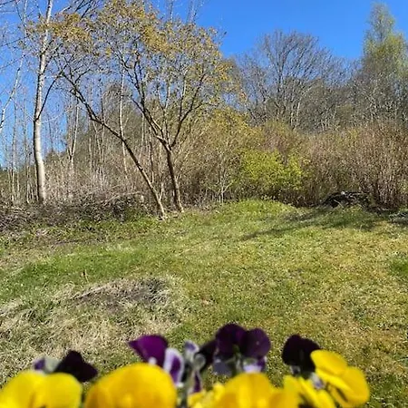 公寓 Cozy Ground Floor In Nature, By Driving 300 Metres Of Gravel Road On Of The Hill Lunde (Hordaland)