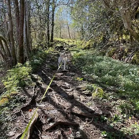 Cozy Ground Floor In Nature, By Driving 300 Metres Of Gravel Road On Top Of The Hill *