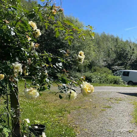 Cozy Ground Floor In Nature, By Driving 300 Metres Of Gravel Road On Of The Hill 公寓 Lunde (Hordaland)
