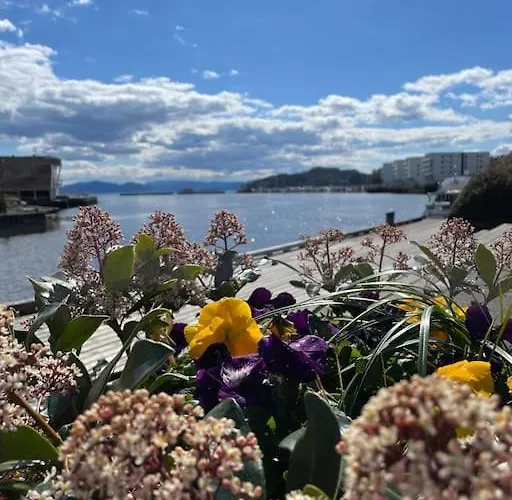 Apartment Cozy Ground Floor In Nature, By Driving 300 Metres Of Gravel Road On Of The Hill *