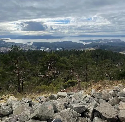 Apartment Cozy Ground Floor In Nature, By Driving 300 Metres Of Gravel Road On Of The Hill Lunde (Hordaland)