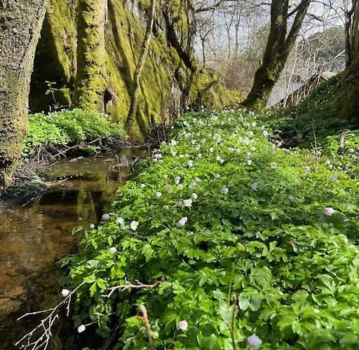 Cozy Ground Floor In Nature, By Driving 300 Metres Of Gravel Road On Of The Hill Apartment Lunde (Hordaland)