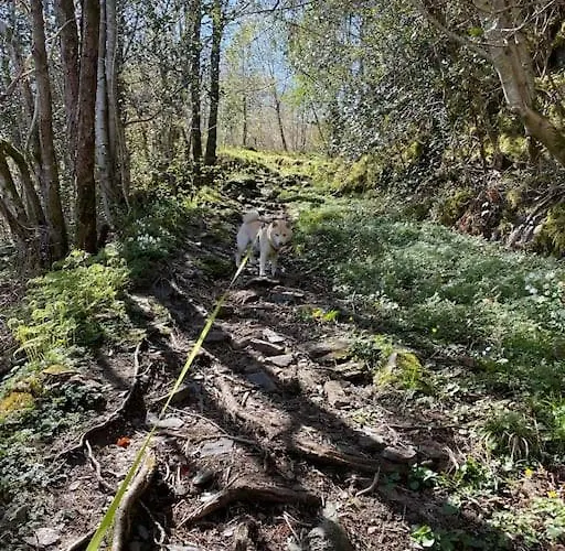 Cozy Ground Floor In Nature, By Driving 300 Metres Of Gravel Road On Of The Hill *