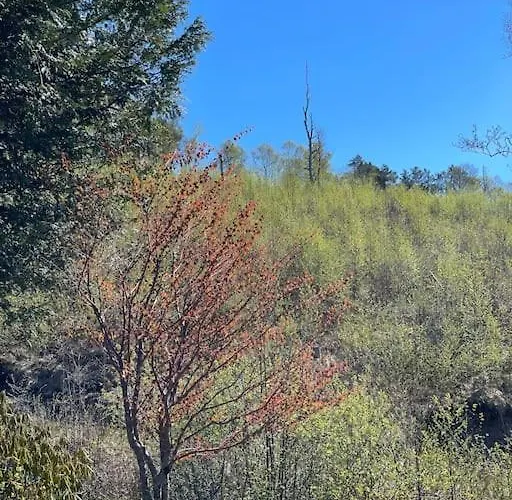Cozy Ground Floor In Nature, By Driving 300 Metres Of Gravel Road On Of The Hill Apartment *