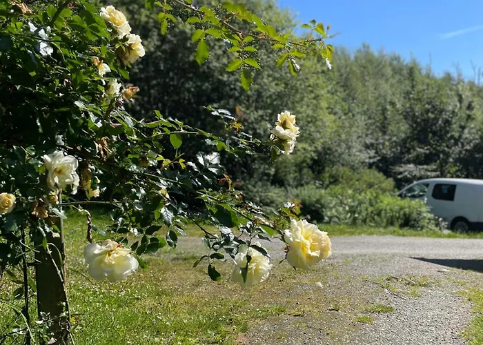 Cozy Ground Floor In Nature, By Driving 300 Metres Of Gravel Road On Of The Hill Apartment Lunde (Hordaland)