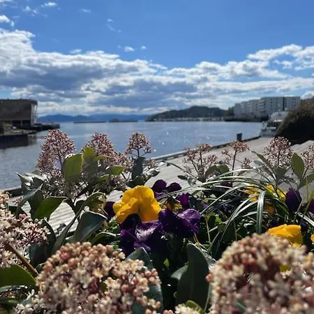 Lejlighed Cozy Ground Floor In Nature, By Driving 300 Metres Of Gravel Road On Of The Hill *