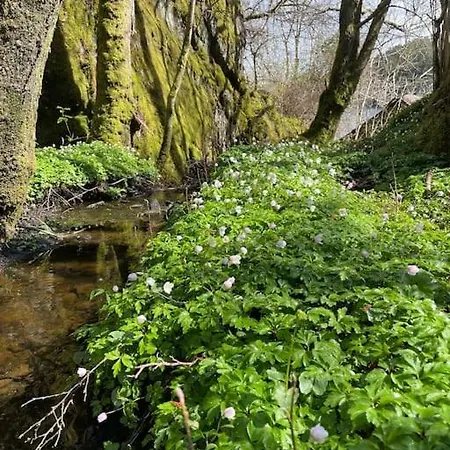Cozy Ground Floor In Nature, By Driving 300 Metres Of Gravel Road On Of The Hill Lejlighed Lunde (Hordaland)