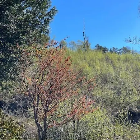 Cozy Ground Floor In Nature, By Driving 300 Metres Of Gravel Road On Of The Hill Lejlighed *